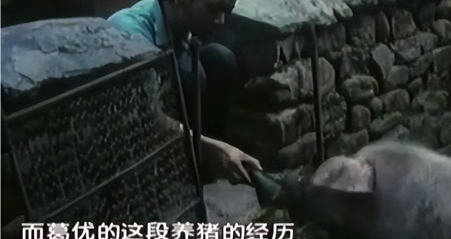 葛优丁克 37 年,67 岁无儿无女,他后悔了吗?