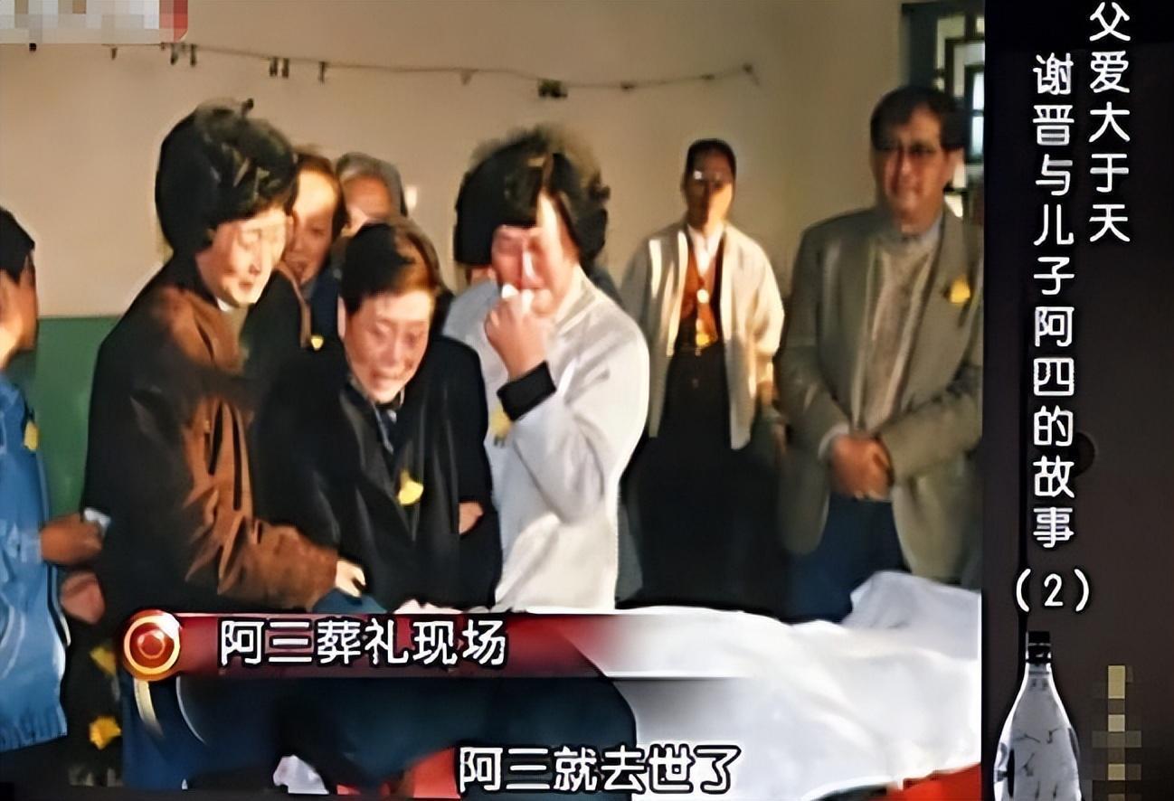谢晋:电影史上的丰碑,家庭生活却充满无尽悲伤与挑战