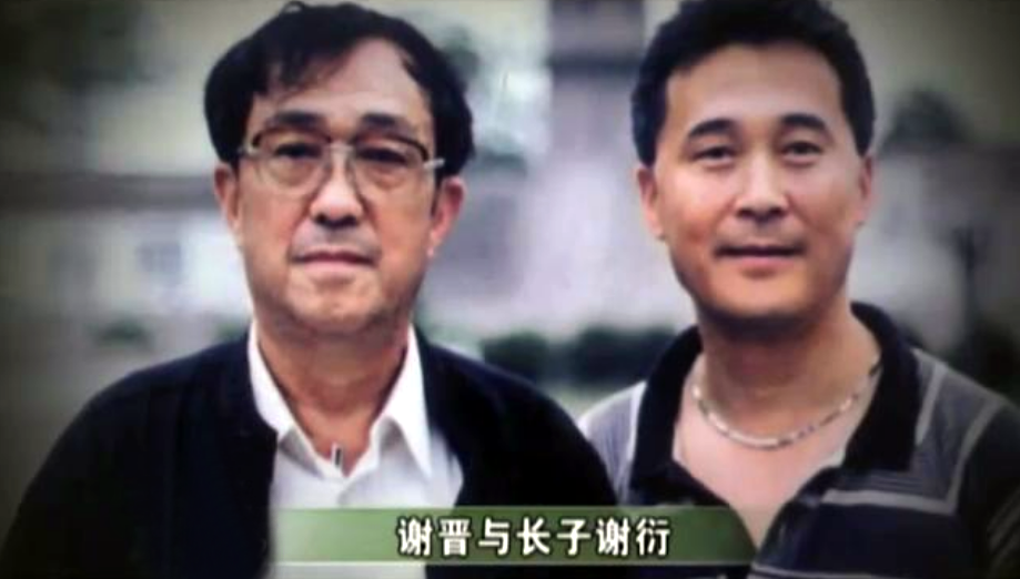 谢晋:电影史上的丰碑,家庭生活却充满无尽悲伤与挑战