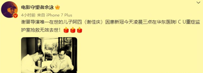 谢晋:电影史上的丰碑,家庭生活却充满无尽悲伤与挑战