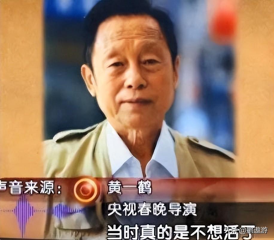 春晚风波:她领养孩子后又抛弃,还跑到国外演绎不堪角色,到底说了什么?