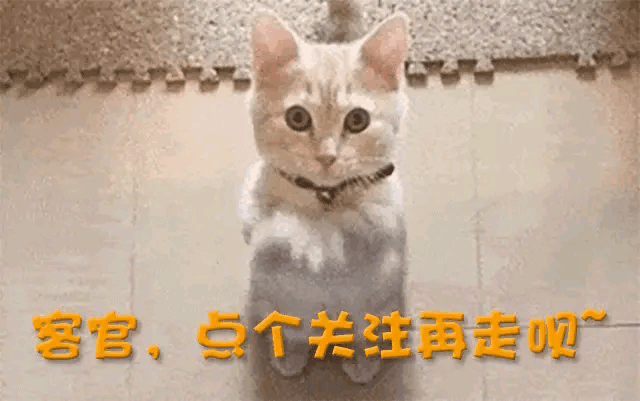 文章马伊琍的不伦恋情:一段冰火交加的姻缘劫