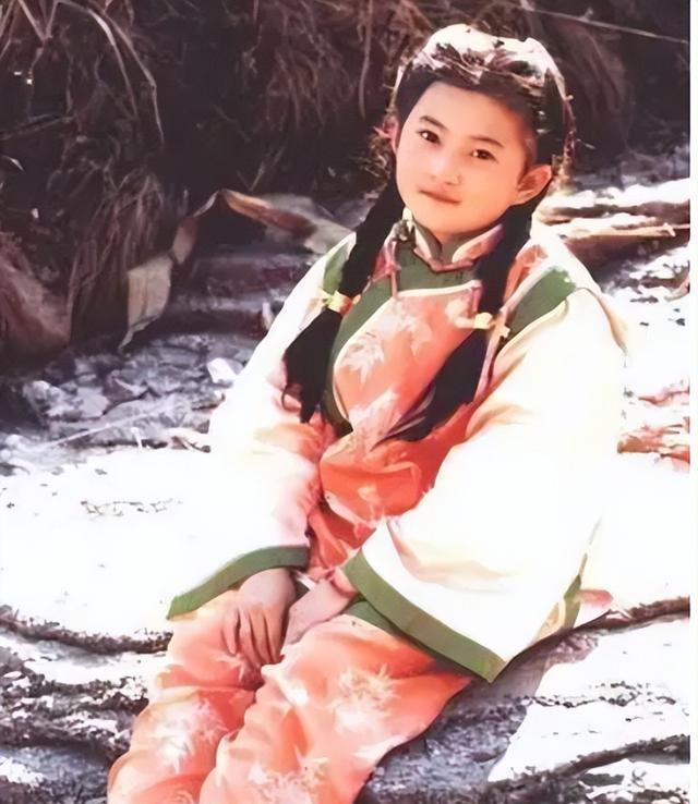 小婉君金铭:事业爱情皆失败,从人生巅峰到窘迫状态,她经历了什么?