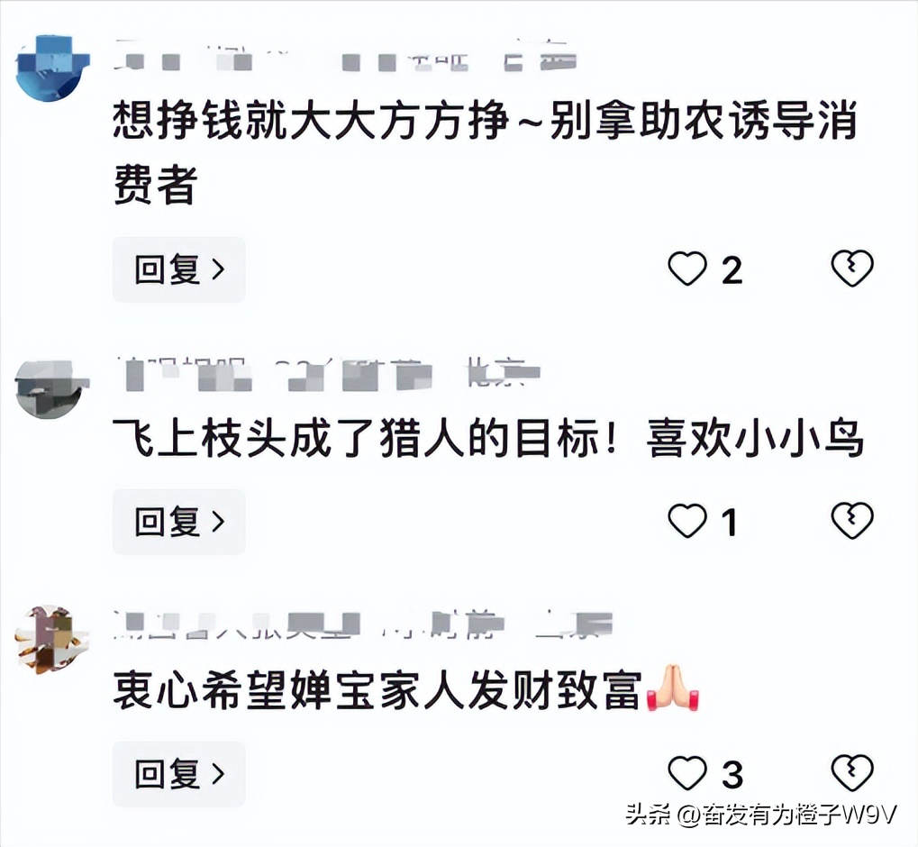 全进华直播带货:传播农村文化,面对质疑霸气回应